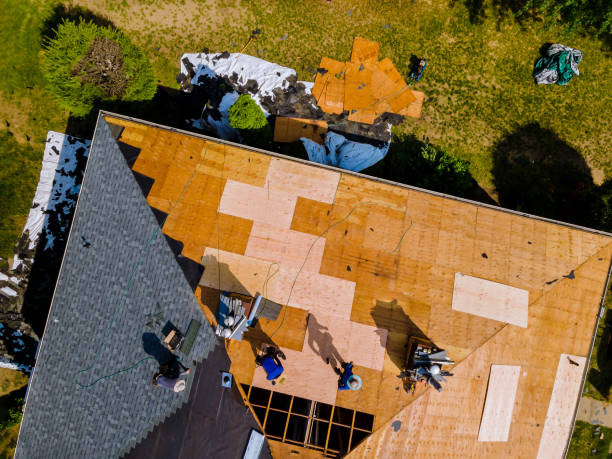Best Roof Maintenance Services  in Coupeville, WA
