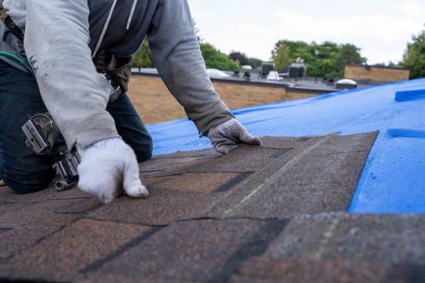 Quick and Trustworthy Emergency Roof Repair Services in Coupeville, WA