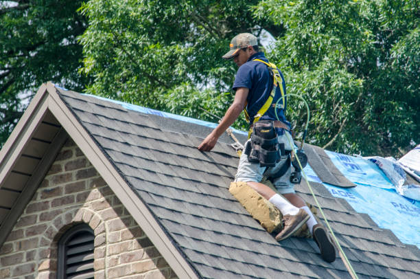 Best Shingle Roofing Installation  in Coupeville, WA